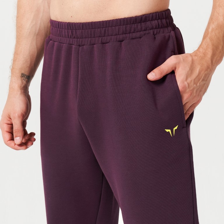 Lab360° DryLite Joggers - Plum Perfect